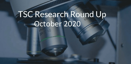 Research Round Up October 2020