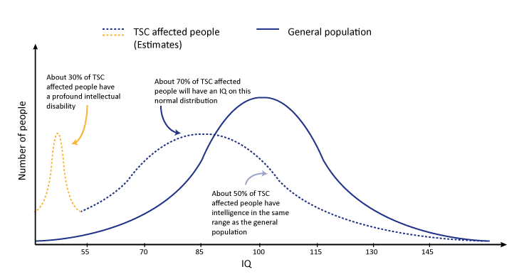 IQ graph2015 1