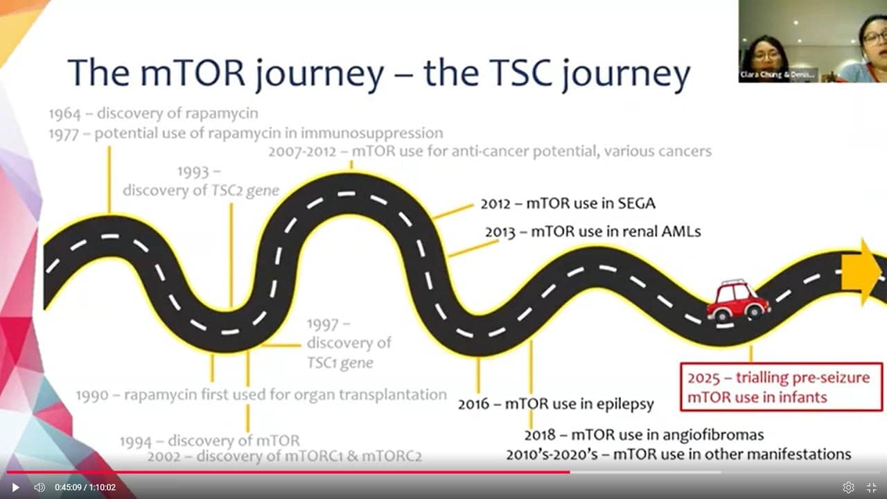 mtor inhibitors everolimus and s 1